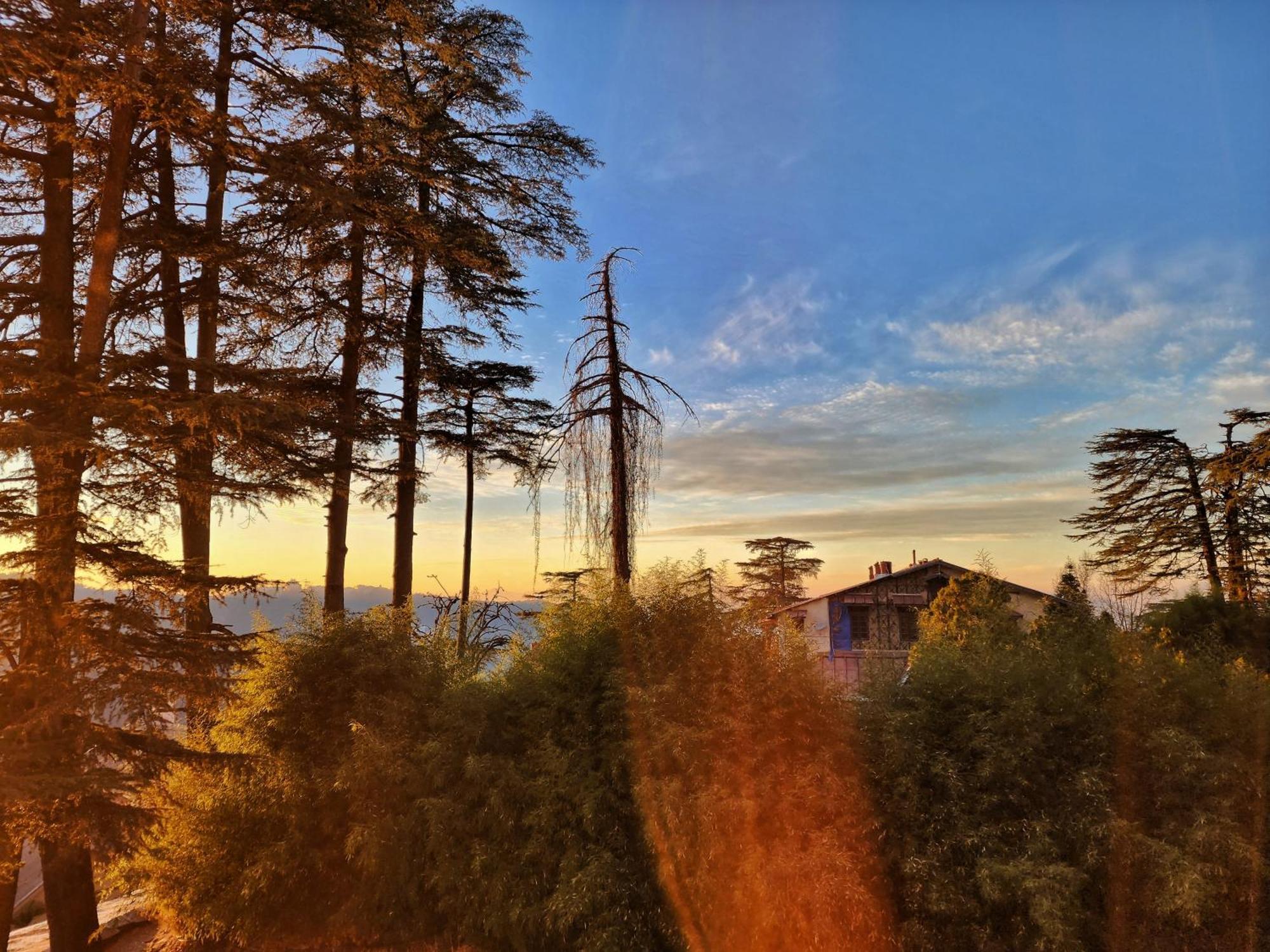 Hotel Pineview Шімла Екстер'єр фото