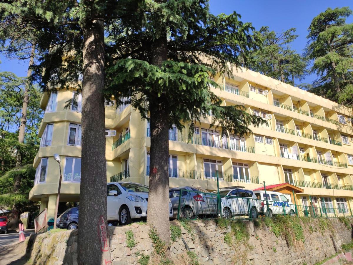 Hotel Pineview Шімла Екстер'єр фото